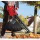 EINHELL Ηλεκτρικός απορροφητήρας φύλλων GC-EL 3024 E