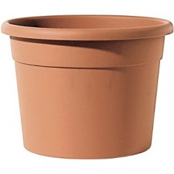 vasar ICIL 35