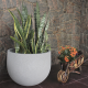 ΓΛΑΣΤΡΑ JAPI RUSTIC ROUND JVRR55