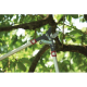 WOLF GARTEN Κλαδευτήρι RS 800 V