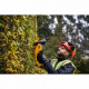 DeWALT 18V XR 55cm Φραμοκοπτικό  SOLO