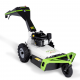 ETESIA ΚΑΤΑΣΤΡΟΦΕΑΣ ΑΓΡΙΟΧΟΡΤΩΝ ΒΑΔΙΣΤΙΚΟΥ ΤΥΠΟΥ