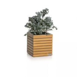 LECHUZA PALO Natural Wood 45 low eucalyptus wood