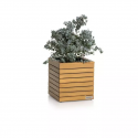 LECHUZA PALO Natural Wood 45 low eucalyptus wood