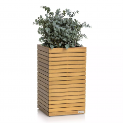 PALO Natural Wood 45 high eucalyptus wood