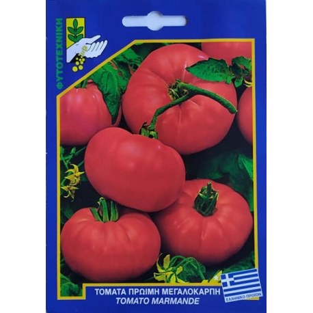 ΤΟΜΑΤΑ ΠΡΩΙΜΗ ΜΕΓΑΛΟΚΑΡΠΗ TOMATO MARMANDE (σπόροι 10gr)
