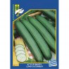 ΑΓΓΟΥΡΙ ΜΑΚΡΥ CUCUMBER LONG TELEGRAPH IMPROVED (σπόροι 10gr)