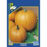 ΚΟΛΟΚΥΘΑ PUMPKIN BIG MAX (σπόροι 10gr)