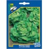 ΜΑΡΟΥΛΙ ΣΑΛΑΤΑ LETTUCE BUTTERHEAD (σπόροι 10gr)