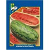 ΚΑΡΠΟΥΖΙ ΡΙΓΩΤΗ ΒΑΡΕΛΑ WATERMELON BLUE RIBBON (σπόροι 10gr)