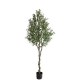 OLIVE TREE NP415_122 ΥΨΟΣ 122cm NewPlan