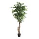 FICUS TREE NP5208_150 ΥΨΟΣ 150cm NewPlan