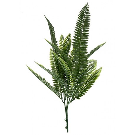 ΔΙΑΚΟΣΜΗΤΙΚΟ ΜΠΟΥΚΕΤΟ (SET 10ΤΜΧ) W027 SPLEENWORT