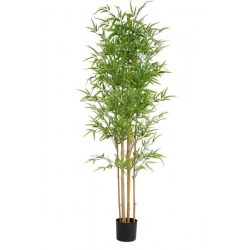 BAMBOO NP6321_180_22 ΥΨΟΣ 180cm