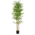 BAMBOO NP6321_180_22 ΥΨΟΣ 180cm