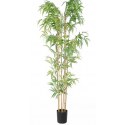 BAMBOO NP5801_180_22_UV ΥΨΟΣ 180cm