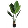 BIRD OF PARADISE NP716_120 ΥΨΟΣ 120cm