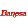 Banesa_logo